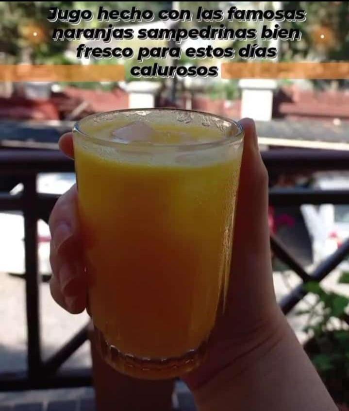 Hotel Los Pinares San Pedro  Dış mekan fotoğraf
