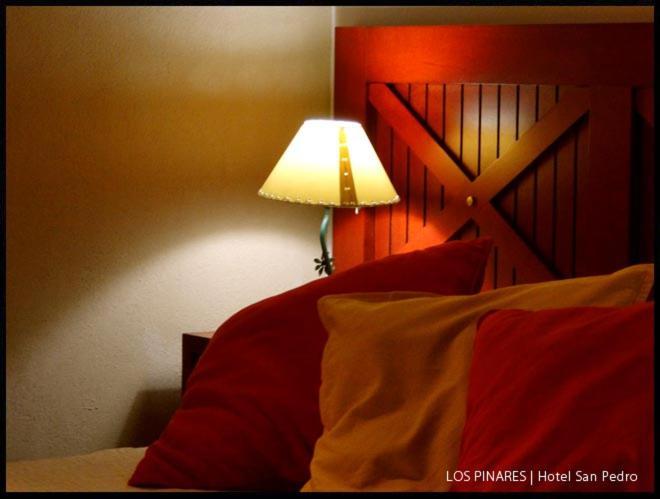 Hotel Los Pinares San Pedro  Dış mekan fotoğraf
