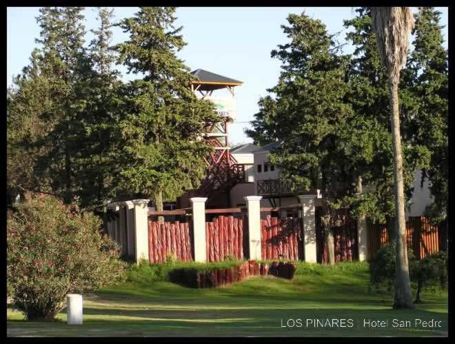 Hotel Los Pinares San Pedro  Dış mekan fotoğraf